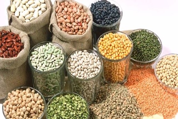 از زمین پاک تا سفره جهانی